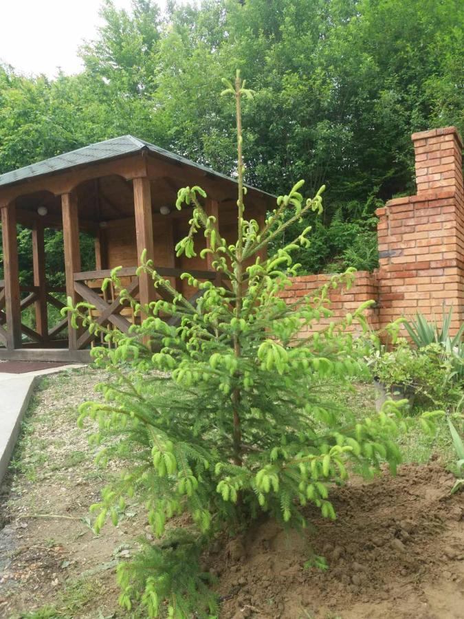 Villa Na Uzlissi 米戈韦 外观 照片